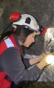 mining engineer at pinargozu
